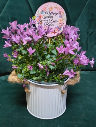 "Kwiatowe życzenia dla Babci” #14