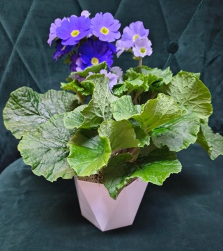 "Kwiatowe życzenia dla Babci i Dziadka” #20