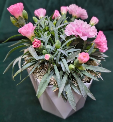 "Kwiatowe życzenia dla Babci i Dziadka” #25