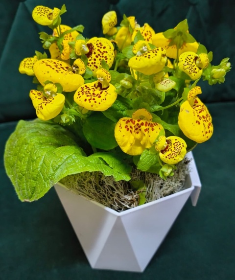 "Kwiatowe życzenia dla Babci i Dziadka” #26