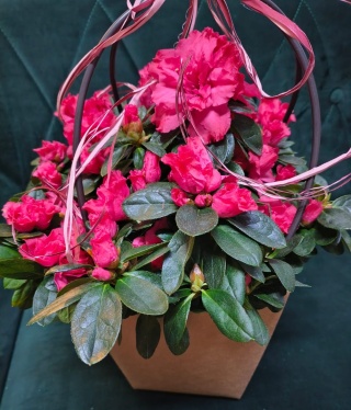 "Kwiatowe życzenia dla Babci i Dziadka” #31