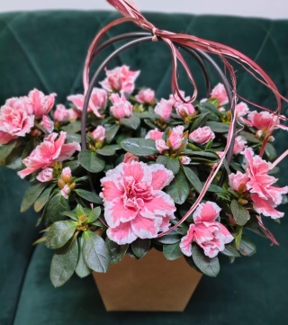 "Kwiatowe życzenia dla Babci i Dziadka” #34