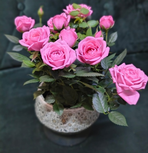 "Kwiatowe życzenia dla Babci i Dziadka” #39