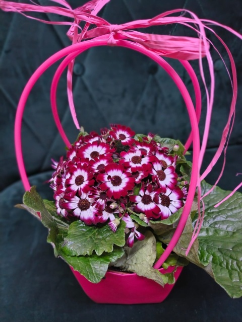 "Kwiatowe życzenia dla Babci i Dziadka” #41