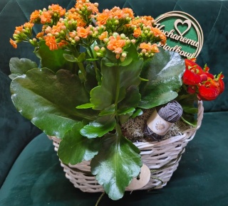 "Kwiatowe życzenia dla Dziadka" #05