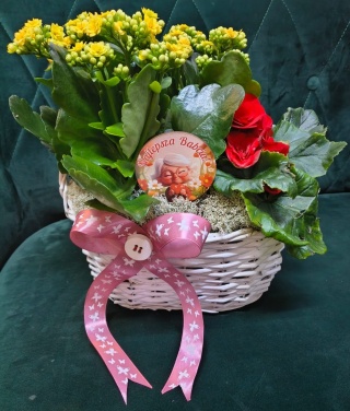 "Kwiatowe życzenia dla Dziadka" #15