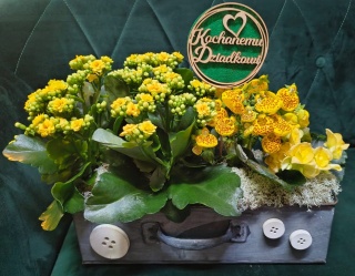 "Kwiatowe życzenia dla Dziadka" #19